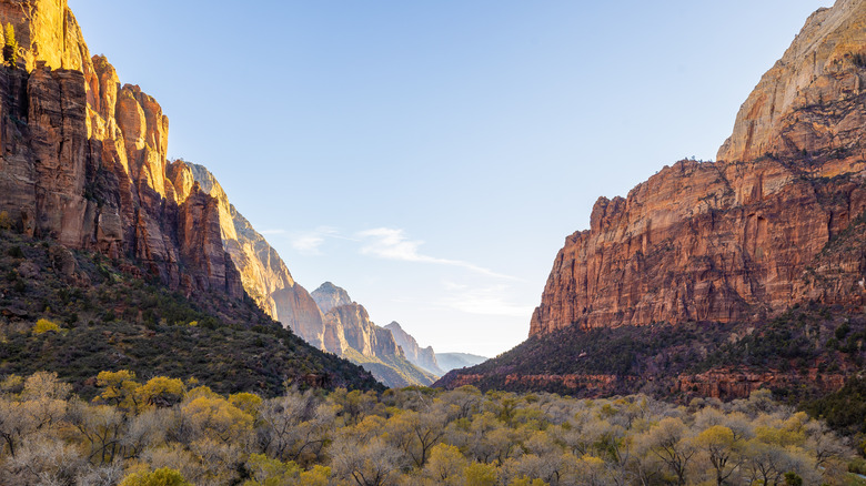 View over Zion National Park