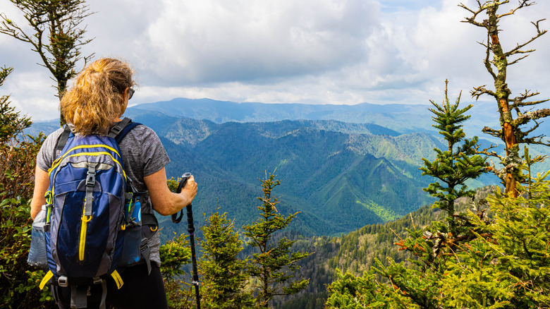 Female Hiker Enjoying View From Cliff Top Viewpoint on Mt. LeConte, Great Smoky Mountains National Park