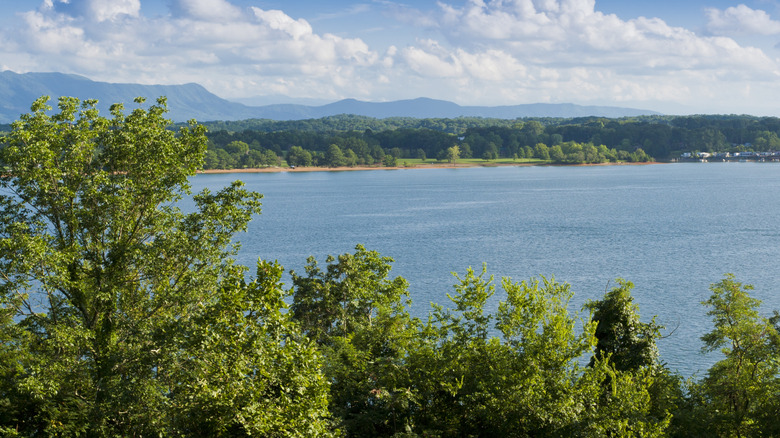 Summer view of Douglas lake in Tennessee, USA