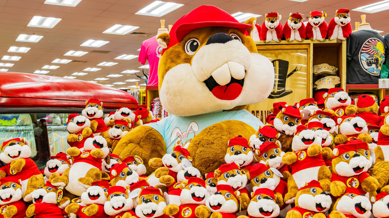 A pile of Bucky plushies in Buc-ee's