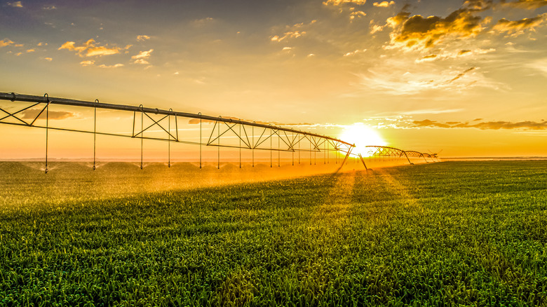 sunset over a sustainable farm