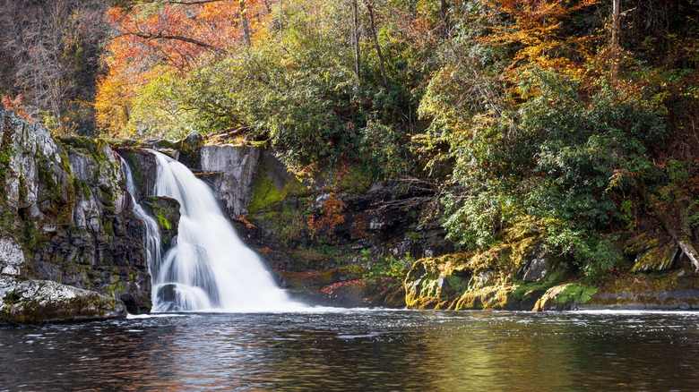 Abrams Falls, Great Smoky Mountains National Park