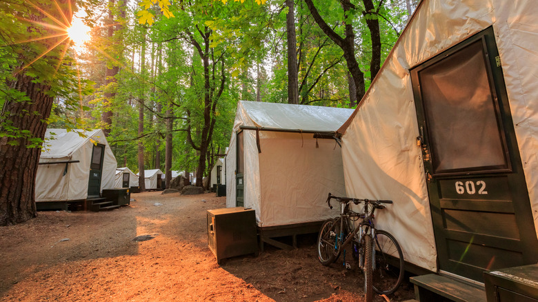 curry village canvas tent cabins