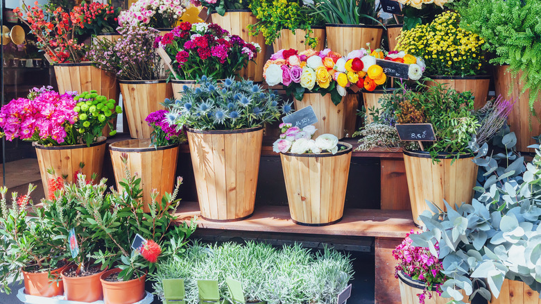 Paris flower stall