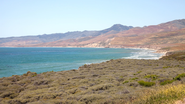 Jalama Beach 