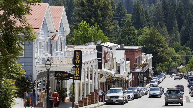 Historic buildings backed by pine trees on Broad Street in Nevada City