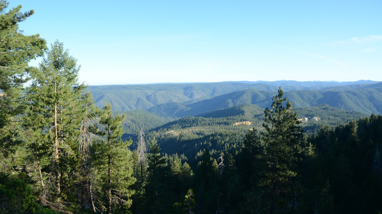 Omega Diggings in Tahoe National Forest