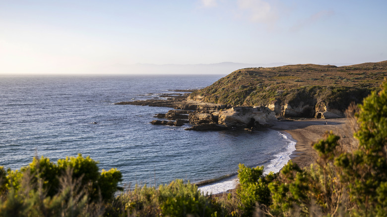 Bluffs, beach, and ocean in Montana de Oro State Park