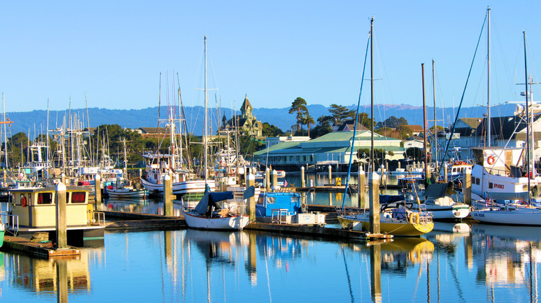 fishing boats in still harbor on sunny day