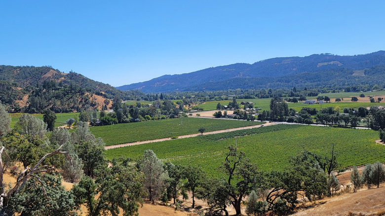Anderson Valley California landscape