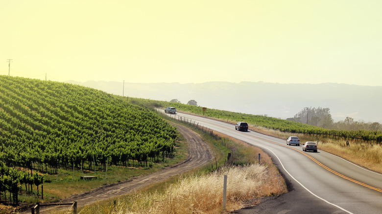 Driving through California wine country