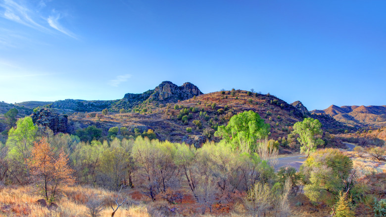 Coronado National Forest scenery