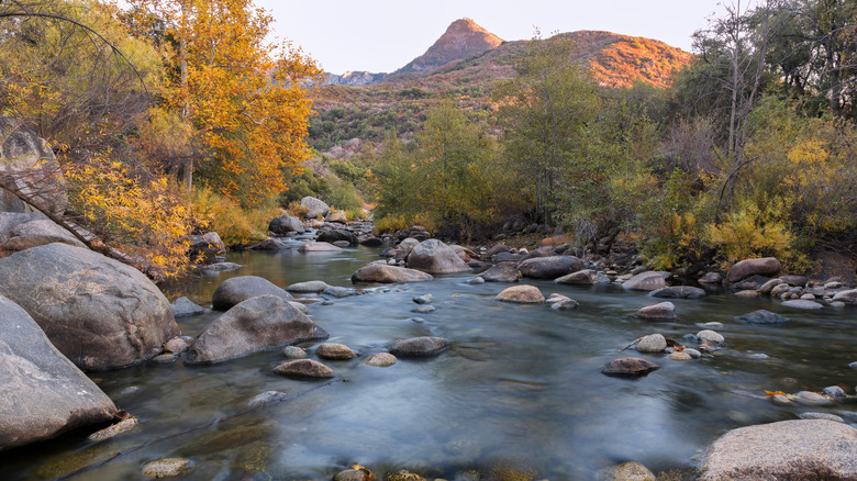 The Marble Fork tributary of the Kaweah River