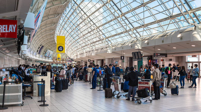 Check-in counters at Toronto Pearson Airport