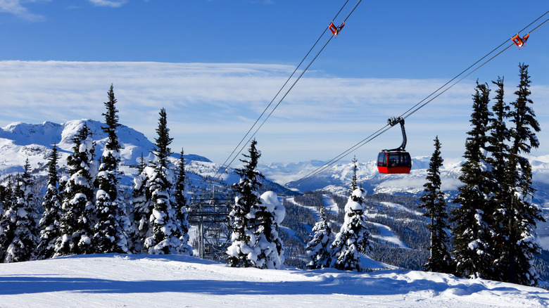 Whistler mountain Gondola