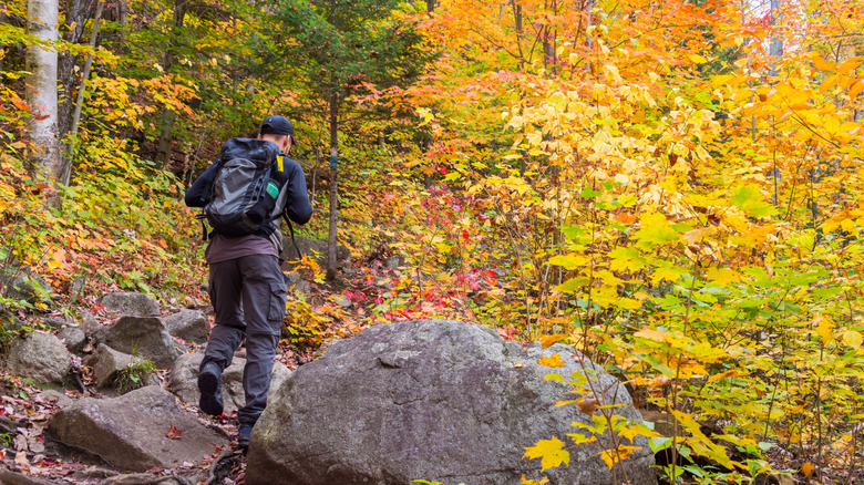 A young man hiking in Val-David