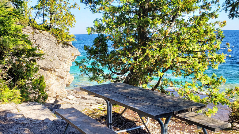 A picnic table on a rocky cliff surrounded by trees looking out to turquoise water