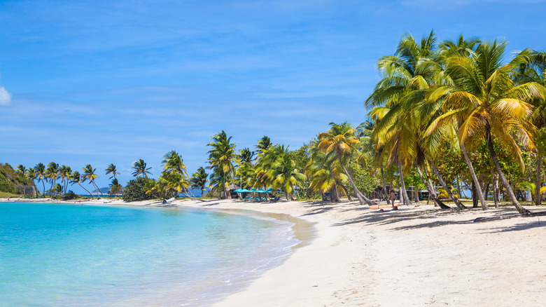 White sand, blue water, and palm trees on Saltwhistle Bay, Mayreau