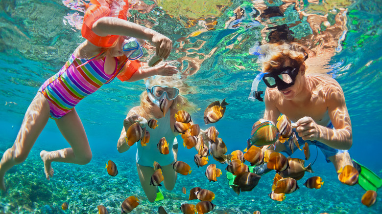 This Caribbean Snorkeling Destination Is One Of The Best Thanks To ...