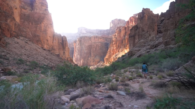 A river running through a canyon