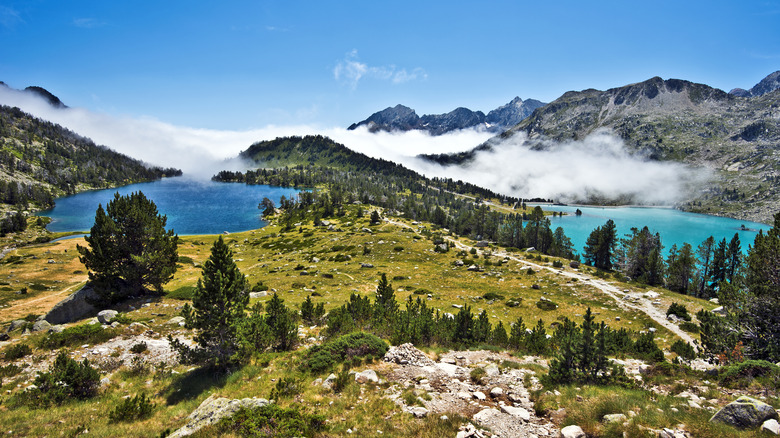 alpine terrain with turquoise lakes and cloud covered mountain tops scattered with pine trees
