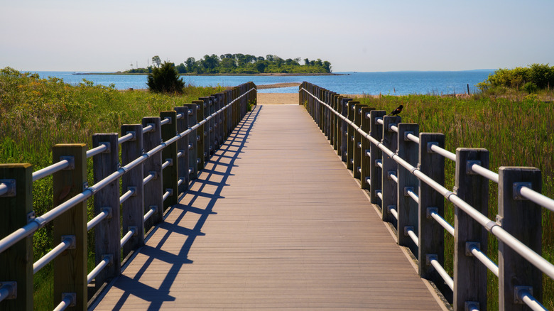 A boardwalk extends into wetlands in Milford, Connecticut