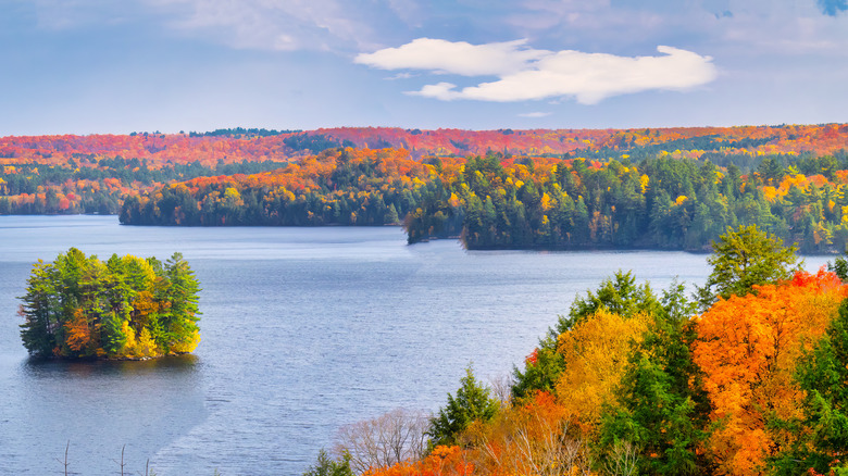 A lake with a small island in the middle of it surrounded by bright autumn colors