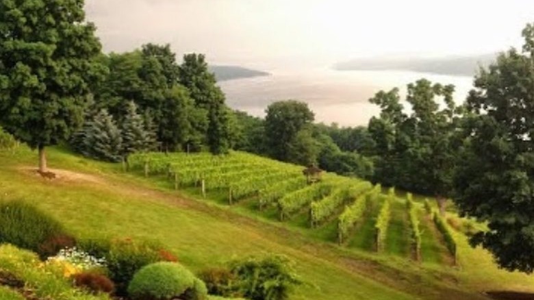 Hammondsport, NY