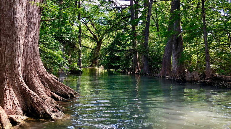 Blue Hole of Texas Hill Country