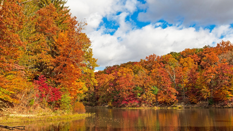Strahl lake, Brown County State Park