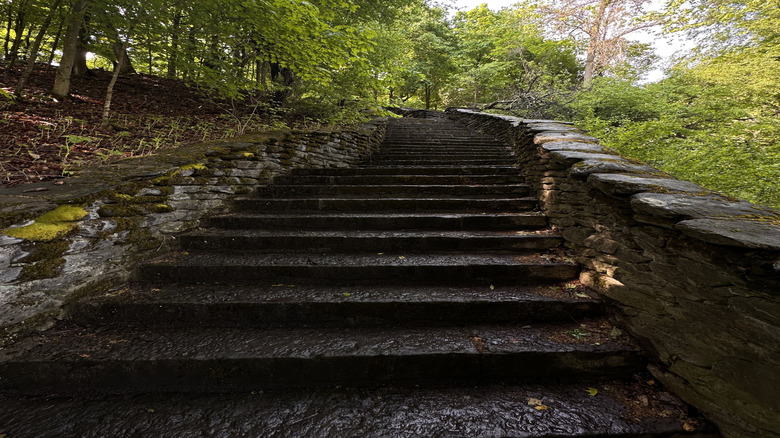 Stairs to Thompson park surrounded by trees in Watertown, New York