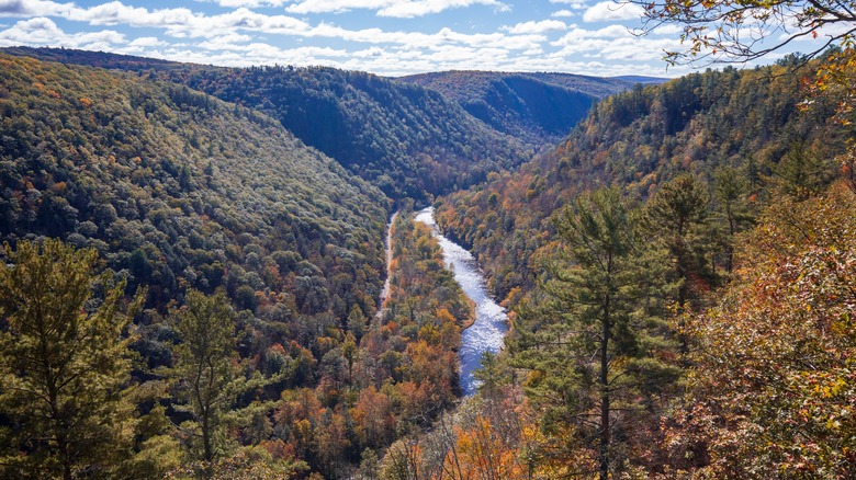 Pine Creek Gorge