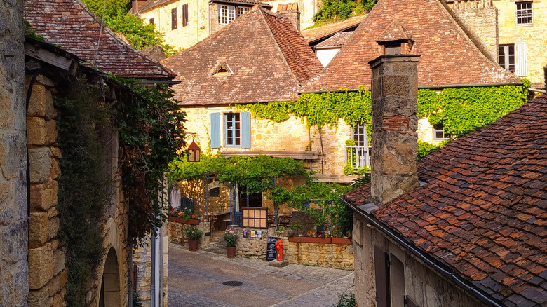 Vine covered cottages in Beynac, France