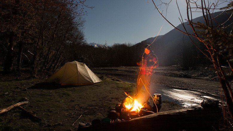 Camping in Hoh Rainforest