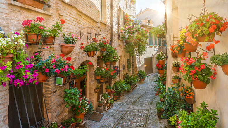 side street in Spello, Italy
