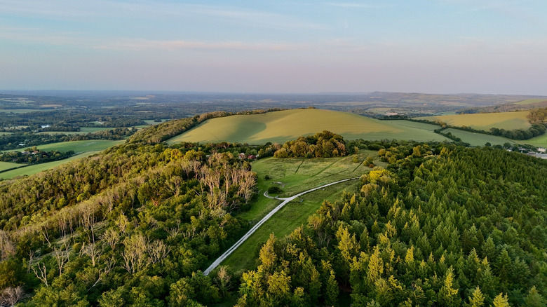South Downs National Park in West Sussex England