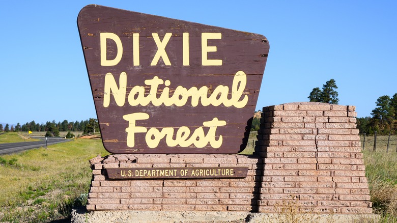 Dixie National Forest sign close to roadside, Panguitch, Utah.
