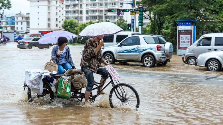 Two people on a cargo bike peddling through a flooded street
