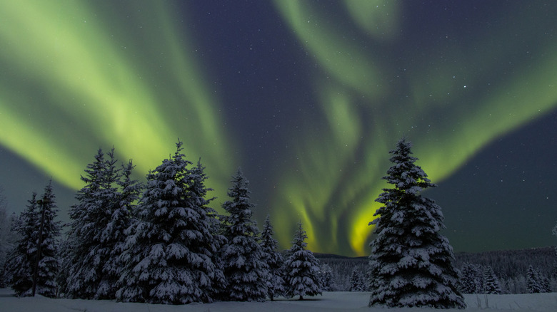 The northern lights in Fairbanks, Alaska.