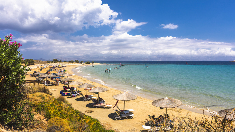 A row of beach chairs and umbrellas scattered along a beach with turquoise water