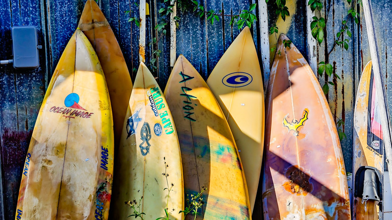 Surf boards line a wall