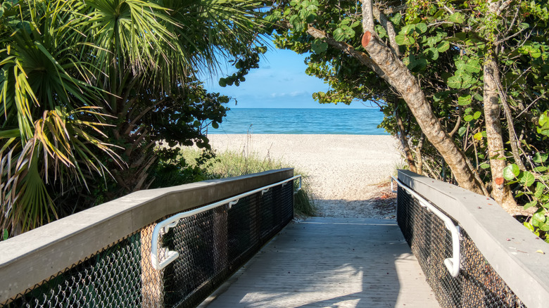 A tree-shaded walkway to Nokomis Beach