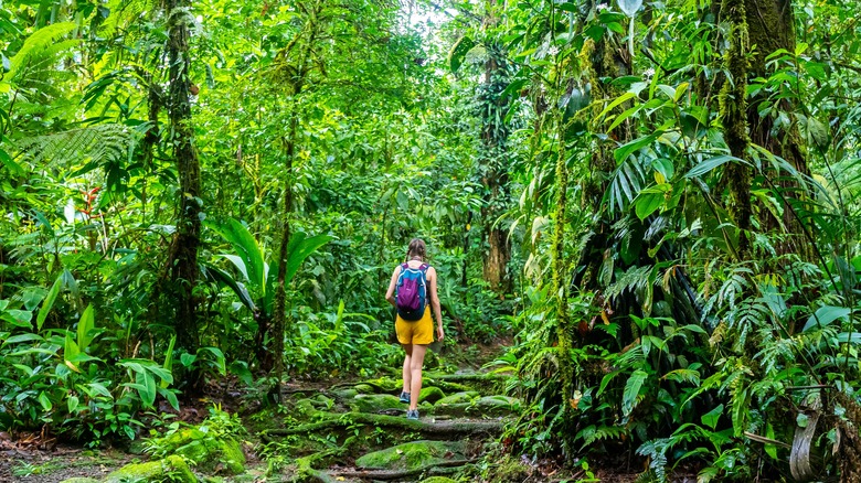 Woman hiking in Costa Rica