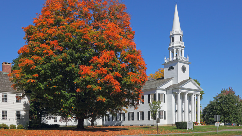 A white steeple church and orange leaf tree in Connecticut.