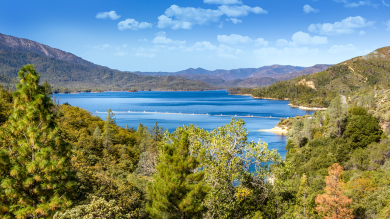 Whiskeytown Lake in California