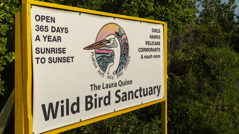 The Laura Quinn Wild Bird Sanctuary in the Florida Keys