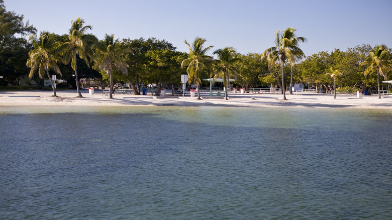 Harry Harris Beach in Florida