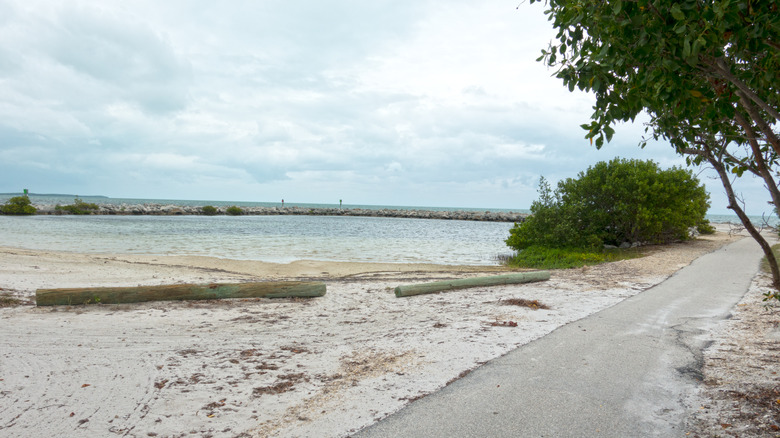 Harry Harris Beach and Park Lagoon Florida Keys