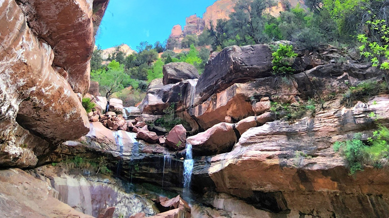 Pine Creek Waterfall in Zion National Park, Utah