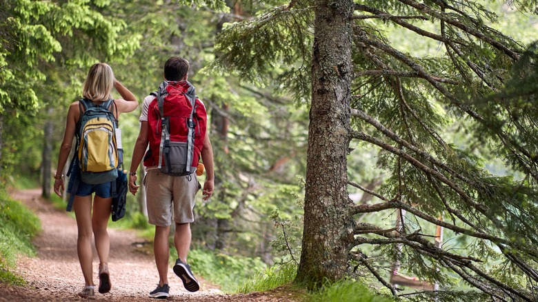 couple hiking path in forest 